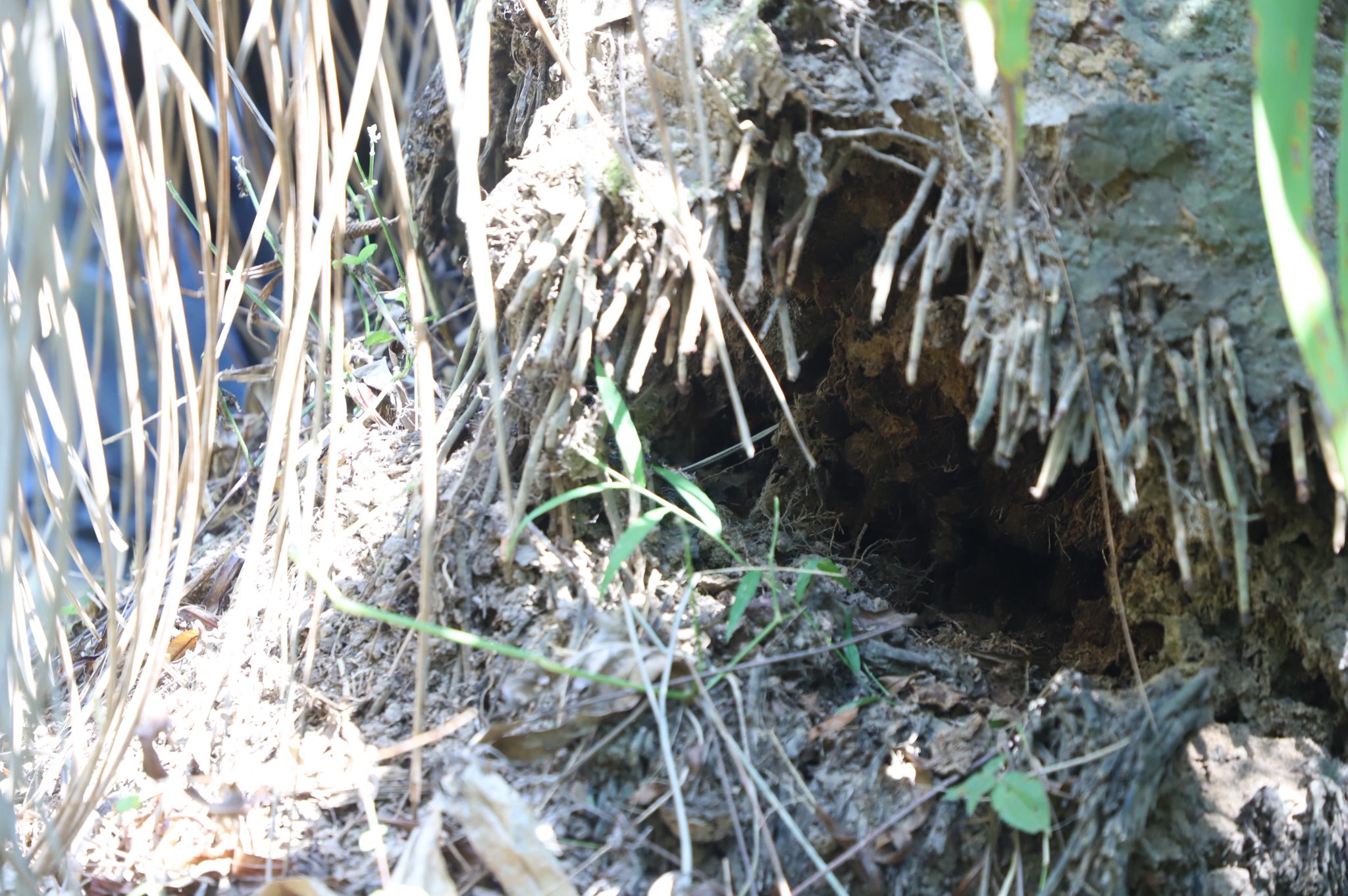 title - เลขาฯ ส.ป.ก. พร้อมคณะ ร่วมลงพื้นที่ติดตามคณะ รมช.กษ. ตรวจราชการ ณ ตำบลอ่าวลึก